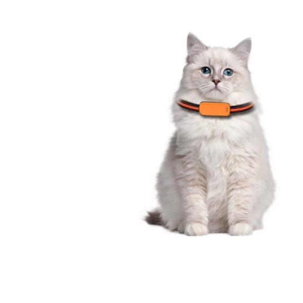 Quality Voice Guidance RFID Pet Smart GPS Tracker Long Range Detection Global Coverage Cellular for sale