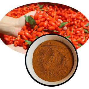  Wolfberry Polysaccharide Extract 60% Goji Berry Fruit Juice Powder Manufactures