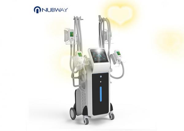Quality 2019 cryolipolysis fat freeze slimming machine body slimming machine with 4 cryo Handles for sale