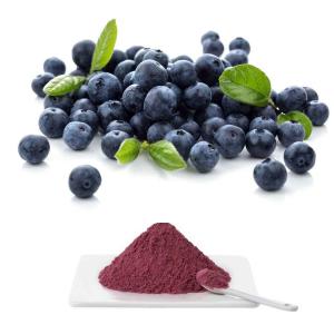 China European Bilberry Fruit Extract Powder With 25% Anthocyanidins By UV on sale