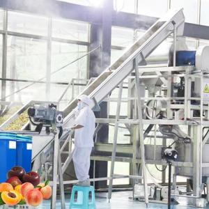  Professional Peach Processing Plant Plum Concentration Processing Line Manufactures