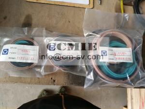  860110727 860138968 XCMG Spare Parts Car Engine Automotive Steering Cylinder Oil Seal Manufactures
