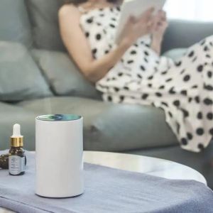 HOMEFISH Portable Waterless Nebulizer Car Aroma Diffuser With Smart Touch Screen