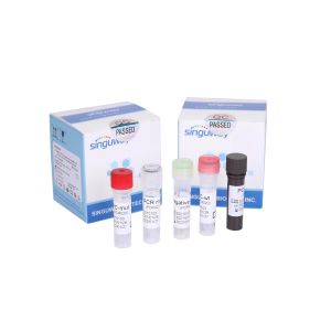 China Highly Sensitive Ultrafast RT PCR Test Kit Fluorescent Probe RT PCR Detection Kit on sale