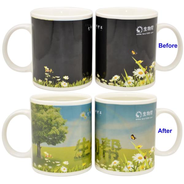 Corporate Gift Personalized Color Changing Cups Eco - Friendly