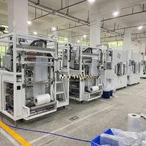 Custom Automatic Bag Inserter Packaging Type With PLC Control System