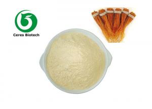  Panax Ginseng Extract Powder With 5% 20% 80% Ginsenosides Manufactures
