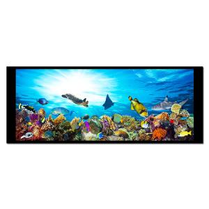  6.8 Inch Hight-Brightness TFT LCD Display LVDS Interface Manufactures