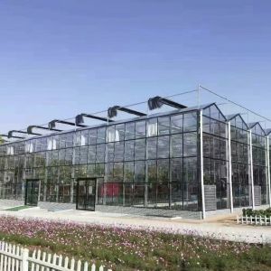 Double Layer Greenhouse Canopy with Good Light Transmission and Multi Span Function