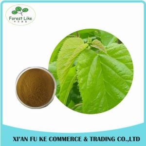  High Quality Mulberry Leaf Extract Powder/Natural Mulberry Extract 1% 1-Deoxynojirimycin(1-DNJ) Manufactures