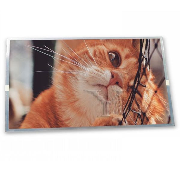 Quality ODM Custom 5.1-Inch WLED LCD Display Module SP14N01L6ALCZ 240*128 Resolution LCD Modules for sale