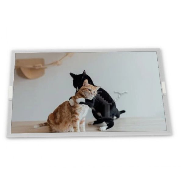 Quality High Resolution stock Compatible 6.2-Inch WLED LCD Display Module 800*480 ODM HSD062IDW1-A02 TFT LCM Panels RGB Interface for sale