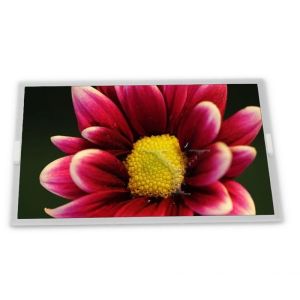  LM64P121 8inch TFT LCD Display Modules Reliable Quality Service Rectangular screen Complete range of industrial screens Manufactures