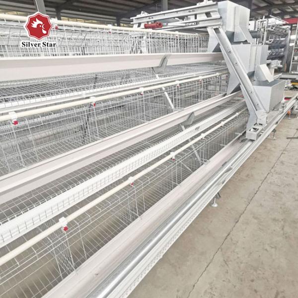 A Type Full Automatic Battery Chicken Cage Cold Galvanized For Farm
