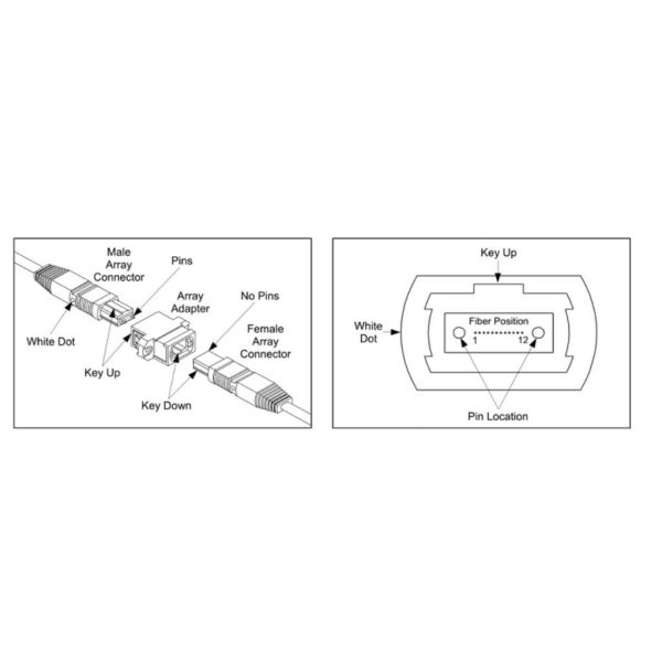 Single Mode G657A 24F MPO Trunk Cable MTP Fiber Optic Patch Cable Type A / Type B / Type C