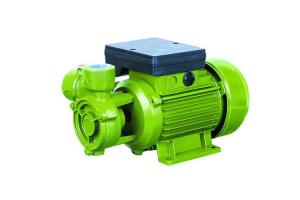 VORTEX Peripheral Water Pump Anti - Rust Function For Pipe Booster 0.3HP Manufactures