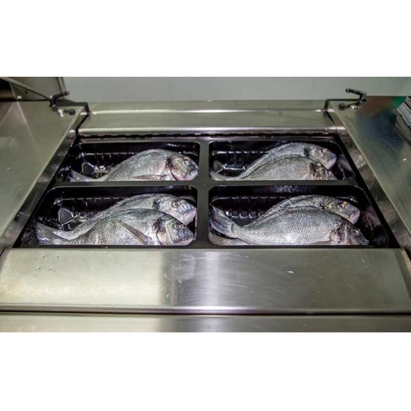 Live Fish MAP Plastic Box Food Tray Sealing Machines User Friendly