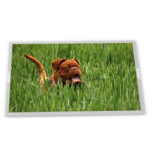  LM238WF1-SLE3 23.8 TFT LCD Display Modules supplier lcd panel supplier lcd panel orginal highly adaptive Manufactures