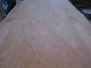  Rotary Cut Red Cedar Wood Veneer Sheet, Face/Back Grade Manufactures