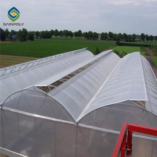 12m Polycarbonate Greenhouse Hydroponic Growing Systems
