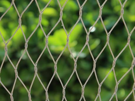 Stainless Steel Wire rope aviary mesh