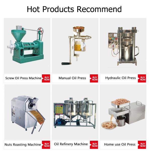 Energy Saving Corn Oil Processing Machine The Perfect Solution for Making Edible Oil at Home