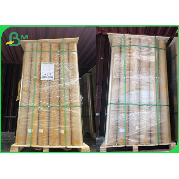 Wide Range 65 Inch 72 Inch Plotter Paper Roll For Printing & Shoes Industry