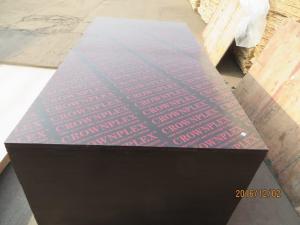  CROWNPLEX brand film faced plywood,poplar core.Brown film faced Plywood Manufactures