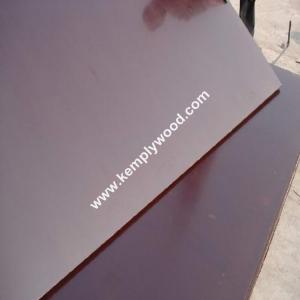 18mm Brown Film Faced Plywood,  Brown film coated construction plywood, Formwork Manufactures