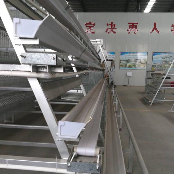 Coop Rearing Poultry Farming Battery Cage System , A Type Layer Cages For Chicken