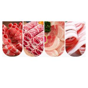 Automatic Meat Slicer Multi-Function Vegetable Slicer Manual Meat Slicer