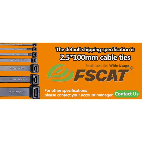 2.5*100mm Plastic Wire Straps Self Locking Plastic Cable Straps