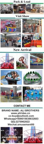 [Ali Brother]Hot sell amusement park thrilling rides big pendulum