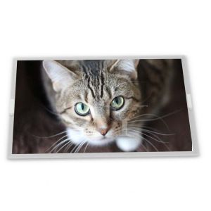  P080DCA-AZ1 8inch TFT LCD Display Modules supplier lcd panel Rectangular screen supplier lcd panel Manufactures