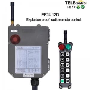  Telecontrol EF24-12D Industrial Wireless Remote Control Used For Hazardous Area Manufactures