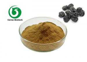  100% Natural Dark Plum Fruit Juice Powder Food Grade Health Care Manufactures