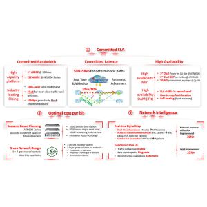ATN910C Advanced Multi-Service Access Router with 10GE Port and SRv6 EVPN