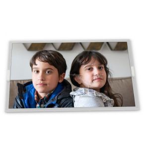 M238DTN01.0 CELL 23.8 TFT LCD Display Modules Reliable Quality Service Complete