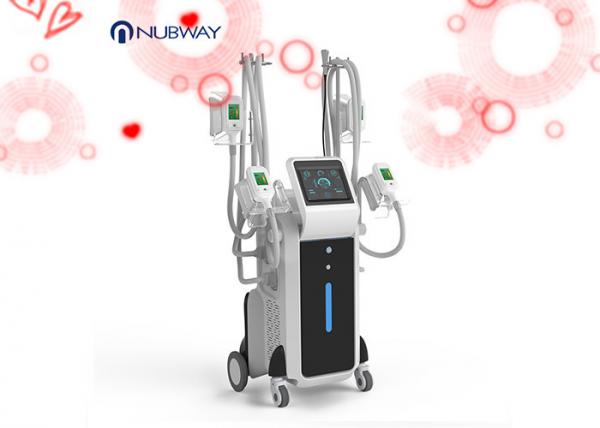 Quality cryolipolysis 4 handles and double chin handle vacuum weight lose beauty slimming machine for sale