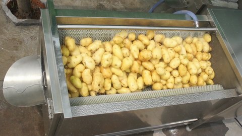 Tapioca Cassava Peeler Machine