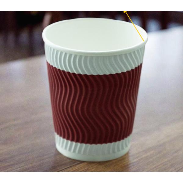 Custom Logo Printed Double Wall Bio-Degradable Paper Cups
