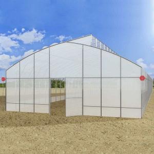  Anti Dripping Plastic Film Greenhouse 10m Width For Tomato Planting Manufactures