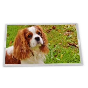 HJ080IA-01F 8inch TFT LCD Display Modules supplier lcd panel Rectangular screen supplier lcd panel