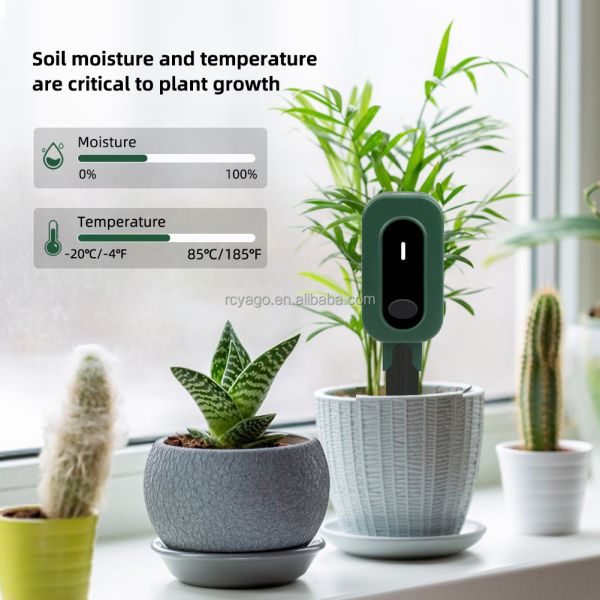 ZigBee 3-in-1 Smart Soil Sensor For Temperature Humidity Light Detector With Tuya APP Control
