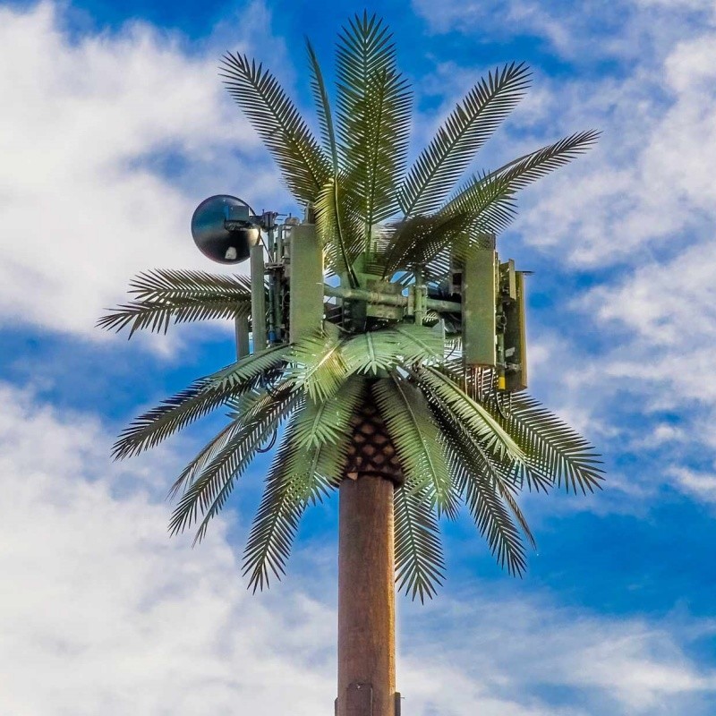 Customization 20m-50m Communication Monopole Artificial Tree Cell Towers Telecom