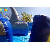 China 0.55mm PVC Giant Inflatable Slide For Water Games / Blow Up Water Slide For Toddlers for sale