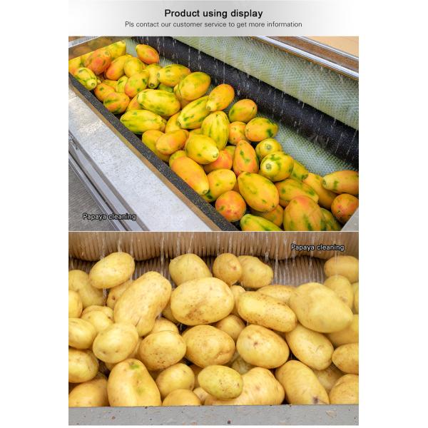 Wash Washer Washing Cleaning processing production Destoning Sealed Cover Type Peeling Machine Ginger Potato Carrot Taro Sweet potato Yam Saiko