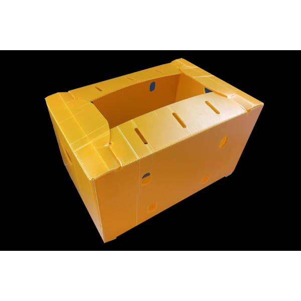 PP Corrugated Plastic Vegetable Packing Box Lightweight Storage Corflute Box
