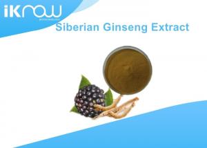China High Purity Siberian Ginseng Extract 0.8% / 1.2% Eleutheroside B+E on sale