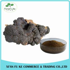  Natural Treat Diabetes Innocuous Health Products Chaga Mushroom Extract Powder with Polysaccharides,Betulin Manufactures